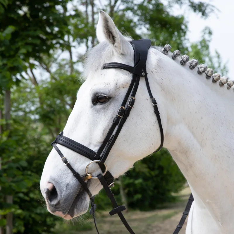 Antares Precision Comfort Noseband Bridle - Black