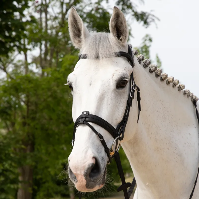 Antares Precision Comfort Noseband Bridle - Black-1