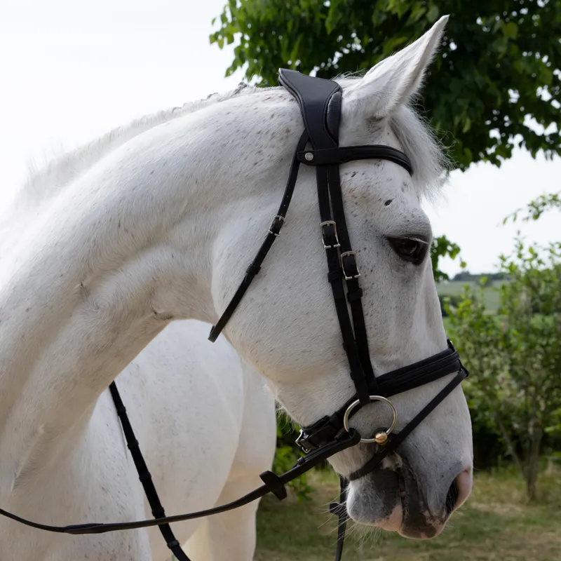 Antares Precision Comfort Noseband Bridle - Black-2
