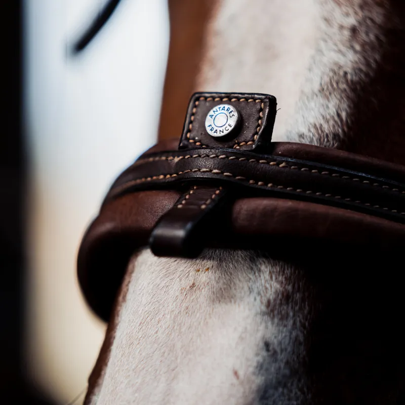 Antares Precision Comfort Noseband Bridle - Brown-4
