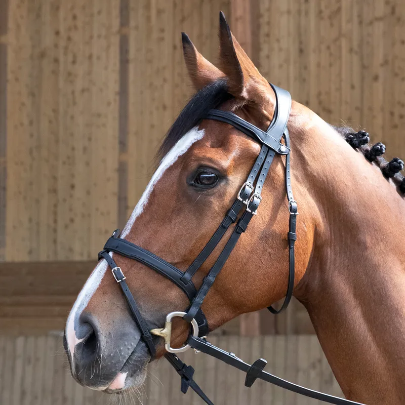 Antares Origin Flash Bridle - Black