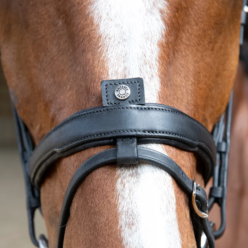 Antares Origin Flash Bridle - Black-1