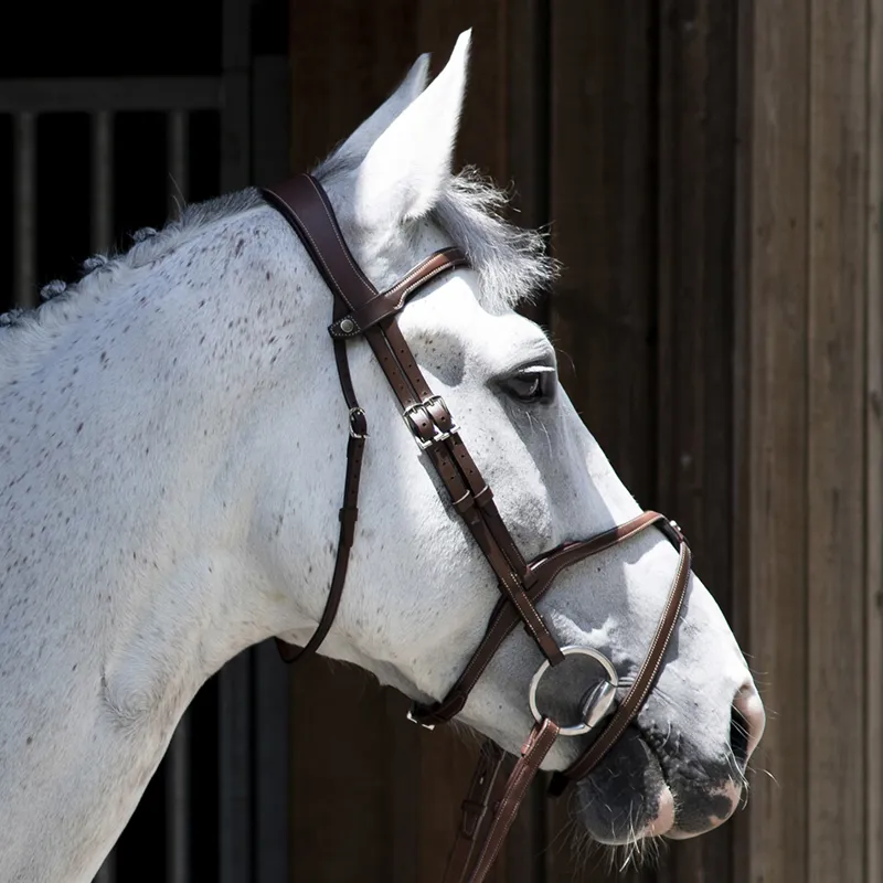Antares Origin Grackle Bridle - Brown-1