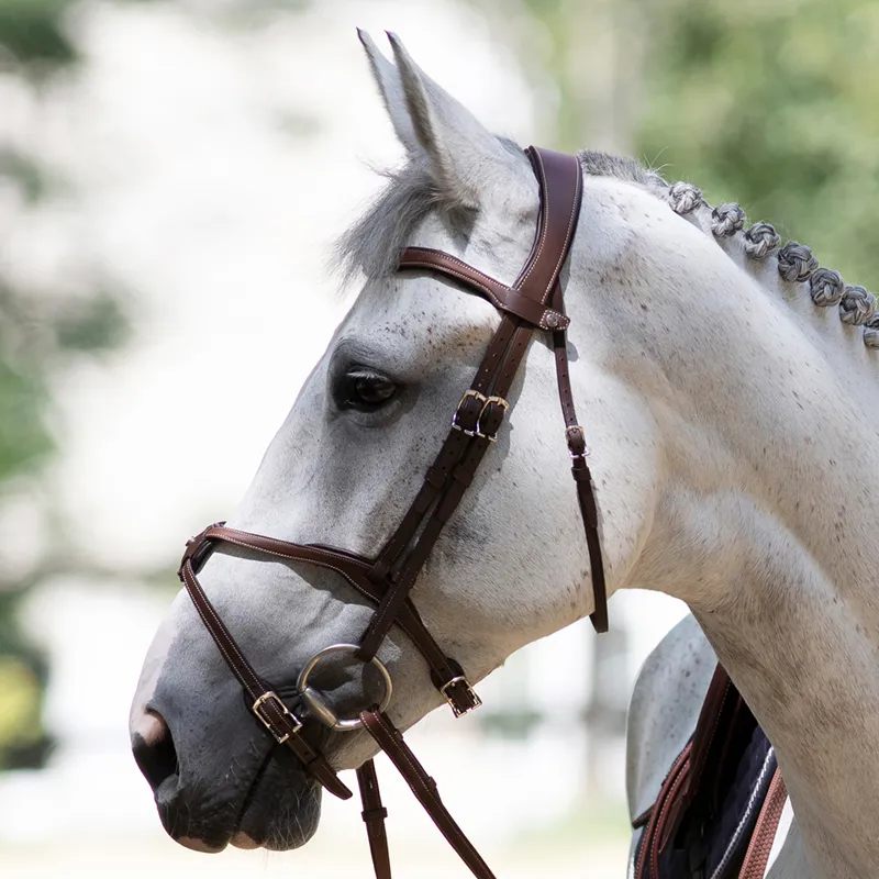 Antares Origin Grackle Bridle - Brown-2