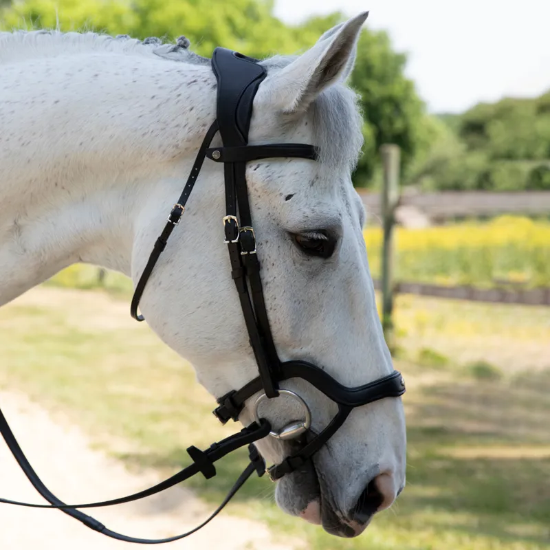 Antares Precision Y Noseband Bridle - Black