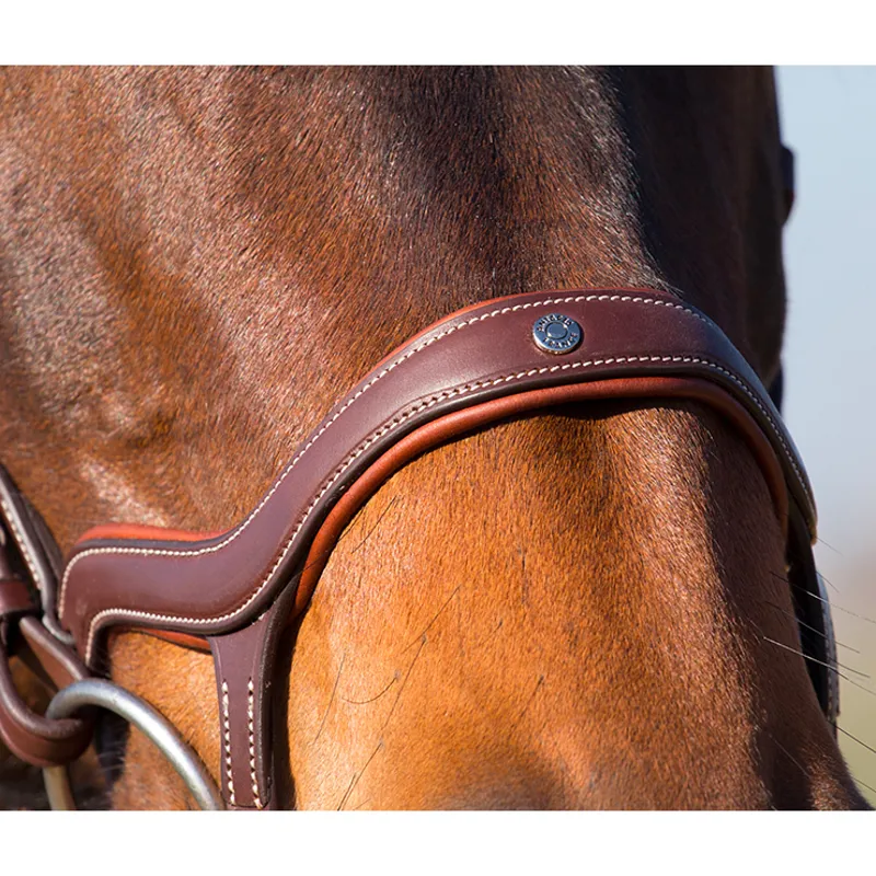 Antares Precision Y Noseband Bridle - Brown-6