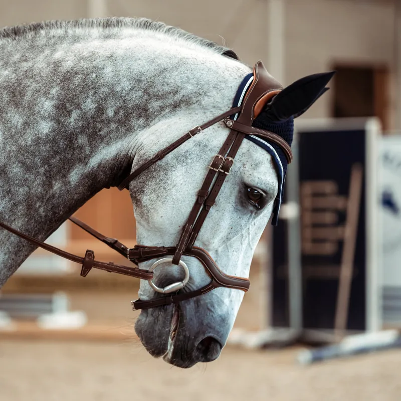 Antares Precision Y Noseband Bridle - Brown