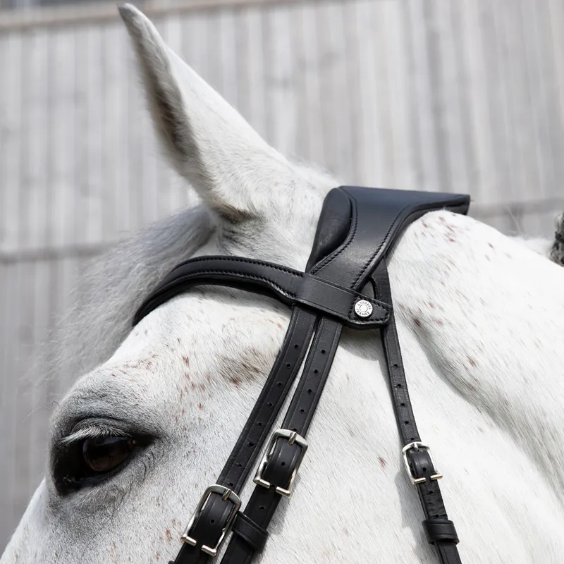 Antares Precision Y Noseband Bridle - Black-3