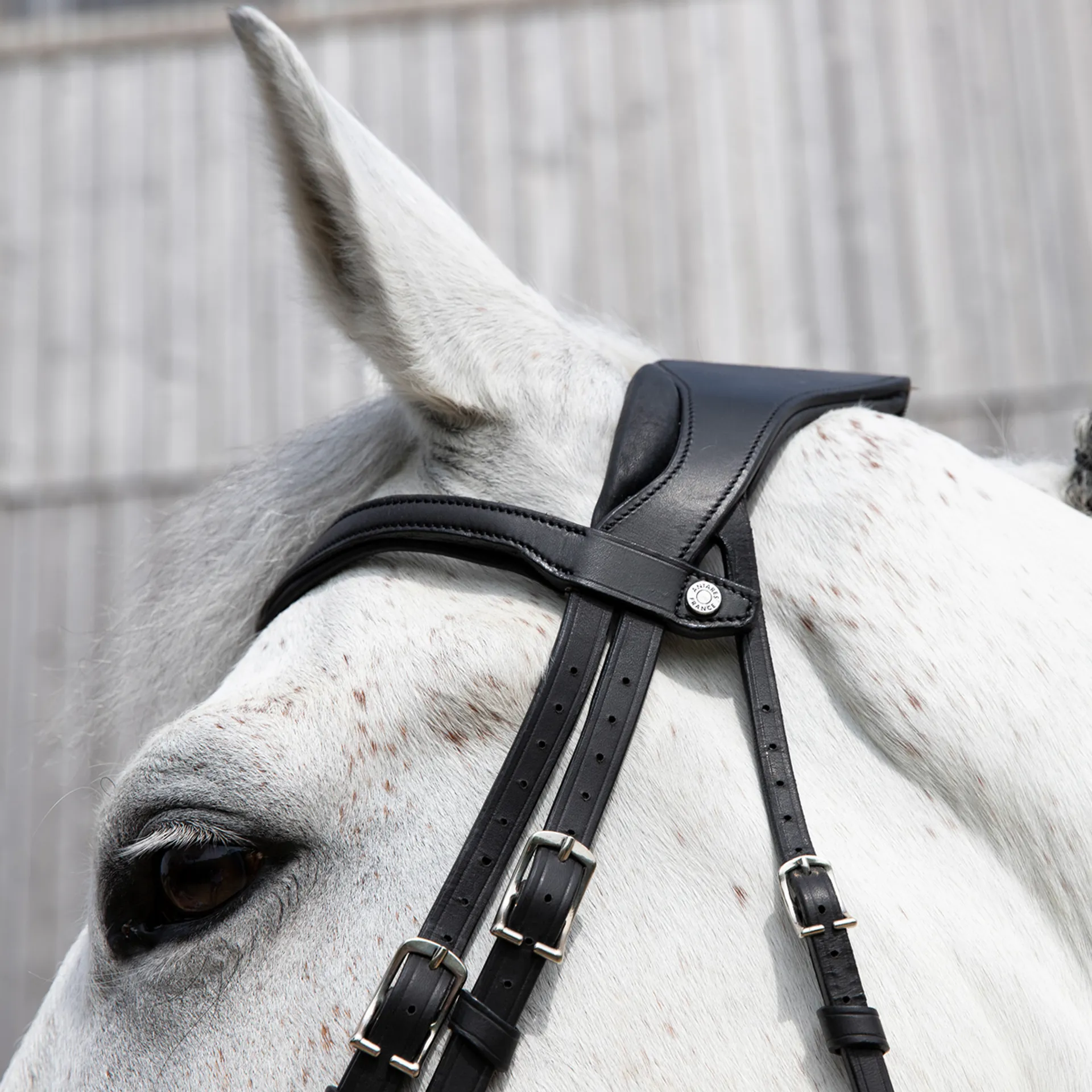 BRIDON ANTARES PRÉCISION TAILLE FULL