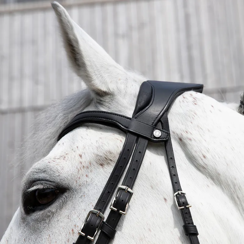 Antares Precision Comfort Noseband Bridle - Black-3