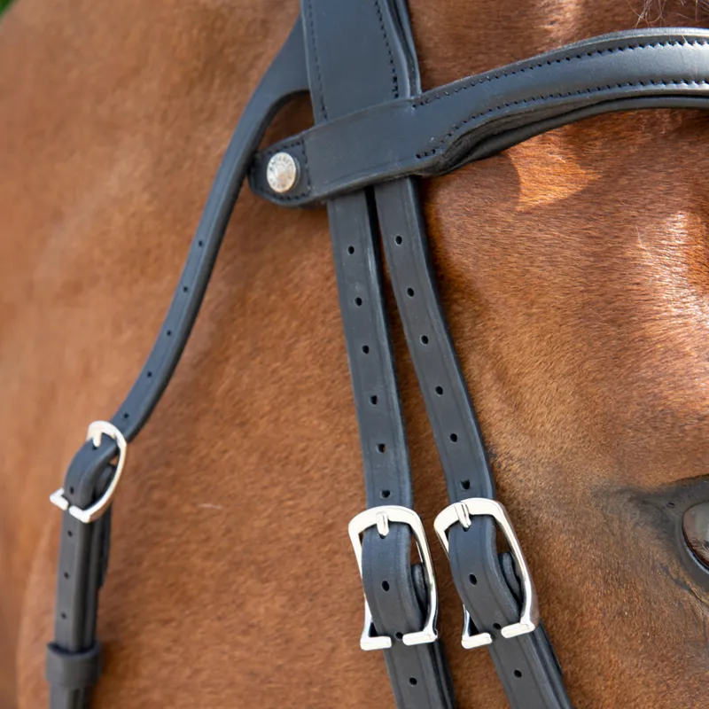 Antares Precision Y Noseband Bridle - Black-4