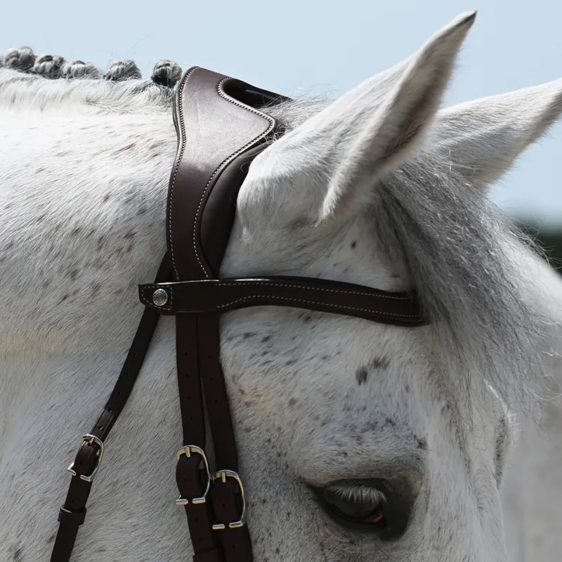 Antares Precision Y Noseband Bridle - Brown-9