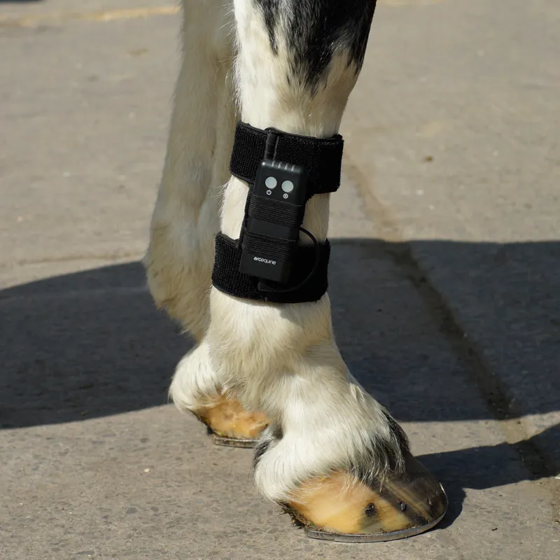 ARCEquine Complete Kit - Black-1