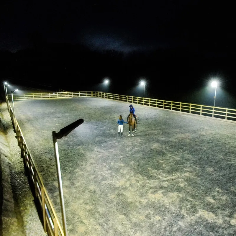 Solar Technology Arena2K Solar-Powered Arena Flood Light-5