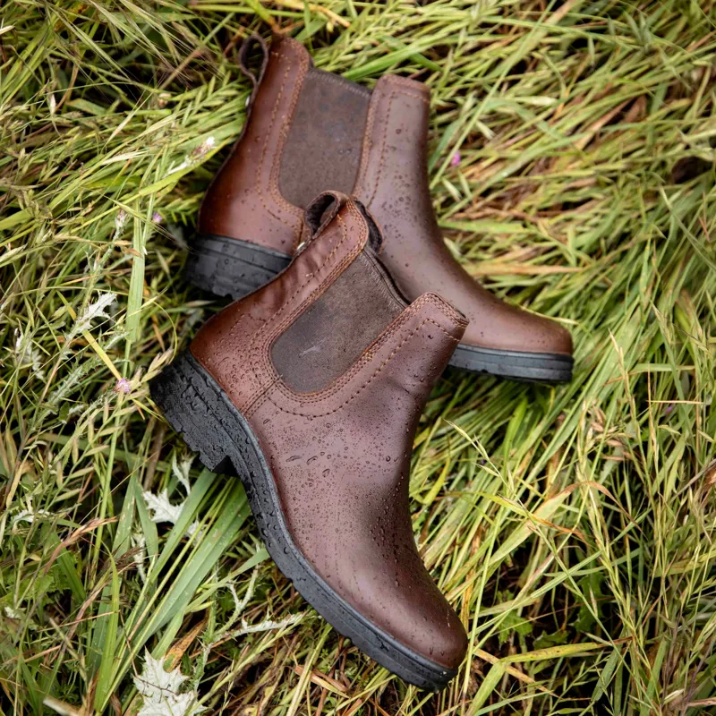 Ariat Langley Womens Waterproof Chelsea Boots - Tobacco Brown-4