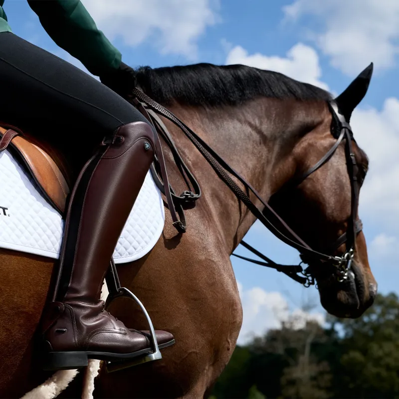 Ariat Palisade Field Tall Womens Riding Boots - Mahogany-5