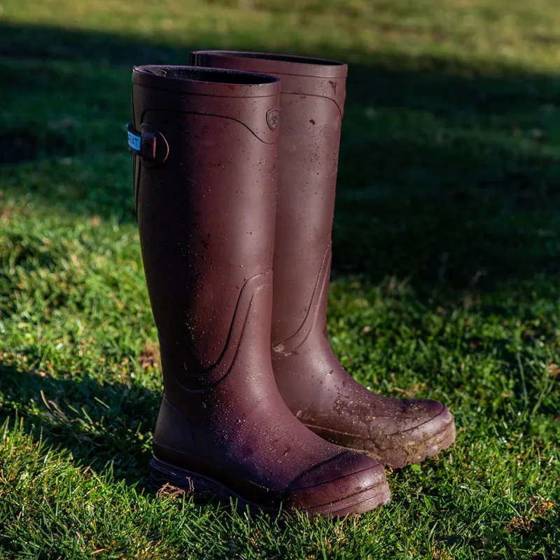 Ariat Kelmarsh Ladies Wellies - Maroon-5