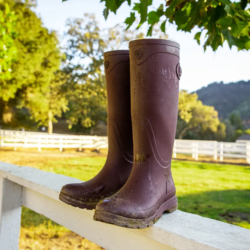 Ariat best sale womens wellies