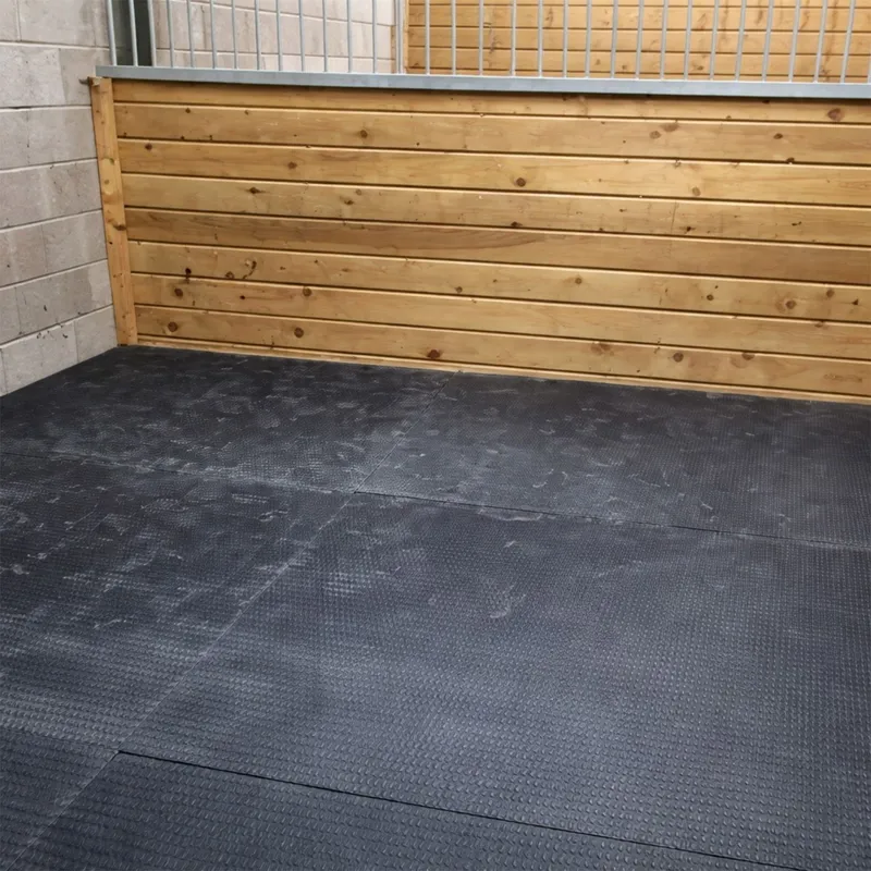 Arkmat Supersoft EVA Stable Floor Rubber Mat - 6ft x 4ft - 34mm Thick-4