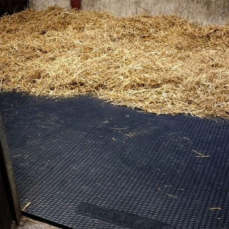 Arkmat Supersoft EVA Stable Floor Rubber Mat - 6ft x 4ft - 34mm Thick-5
