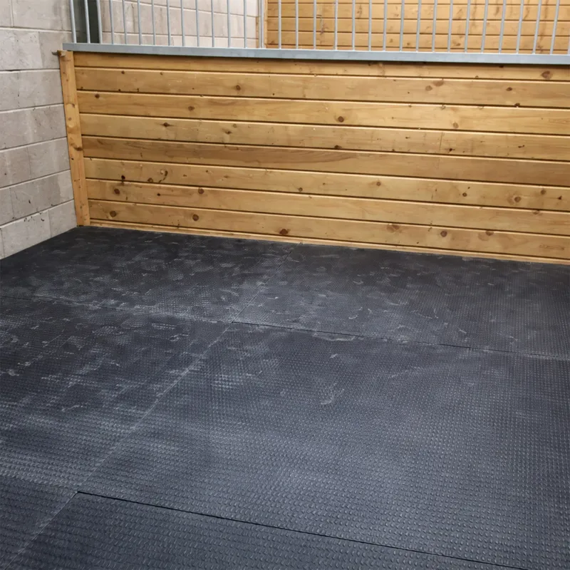 Arkmat Supersoft EVA Stable Floor Rubber Mat - 6ft x 4ft - 24mm Thick-4