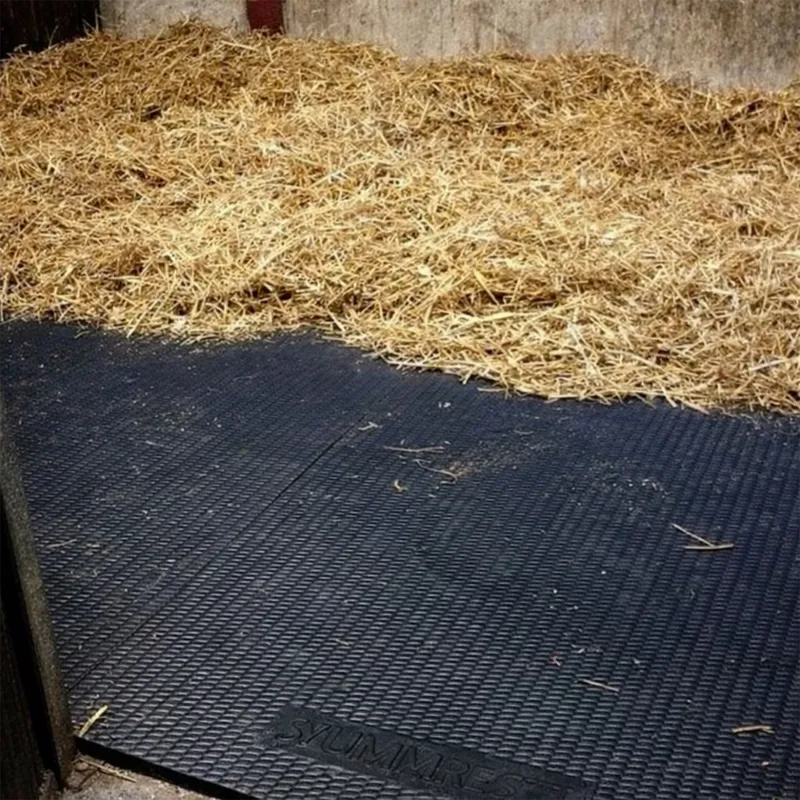 Arkmat Supersoft EVA Stable Floor Rubber Mat - 6ft x 4ft - 24mm Thick-5