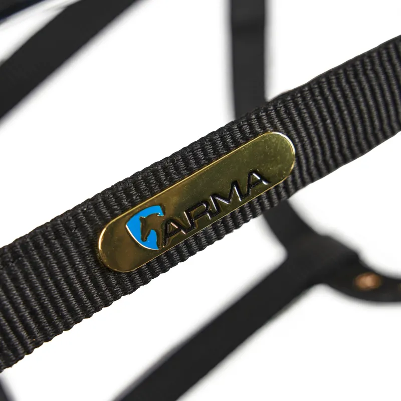 Arma Fleece Lined Lunge Cavesson - Black-4