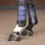 ARMA NX Air Motion Brushing Boots - Royal