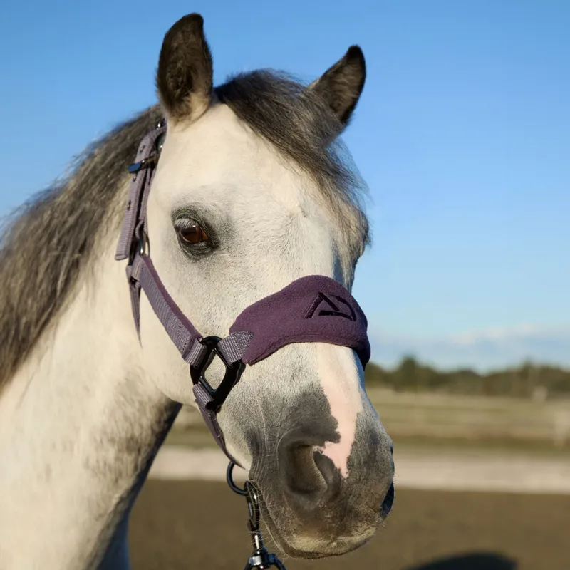 Aztec Diamond Panel Headcollar - Amethyst Pre-Order