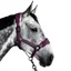 Aztec Diamond Panel Headcollar - Plum