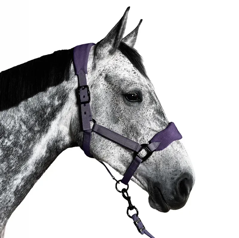 Aztec Diamond Panel Headcollar - Amethyst