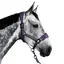 Aztec Diamond Panel Headcollar - Amethyst