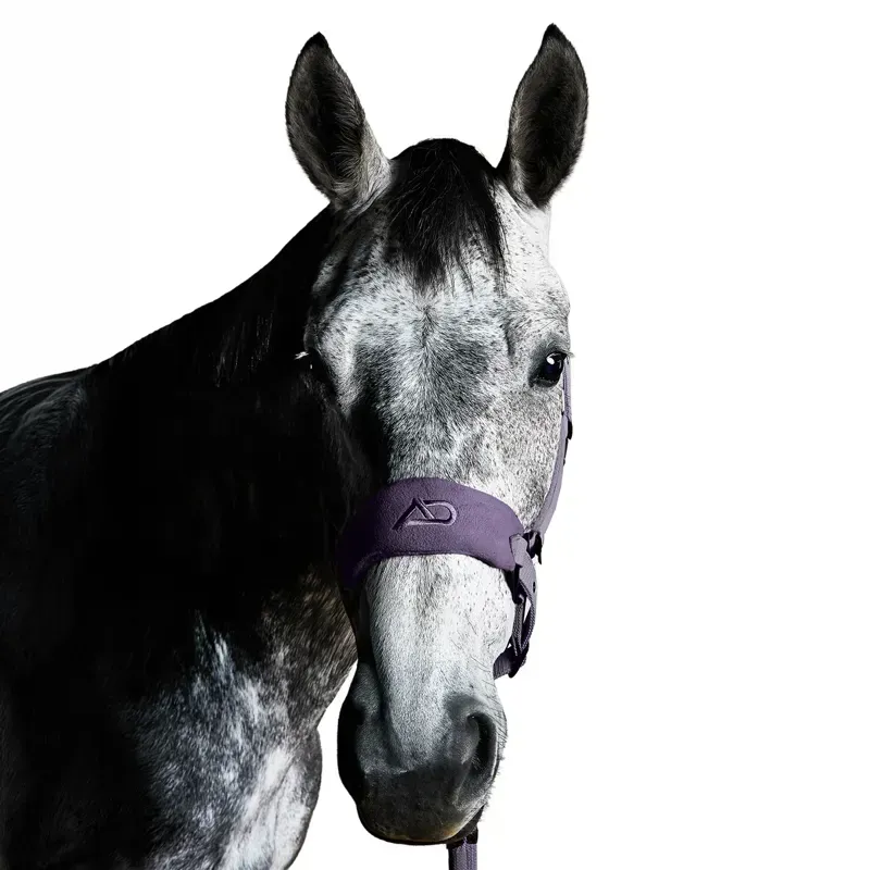 Aztec Diamond Panel Headcollar - Amethyst-2
