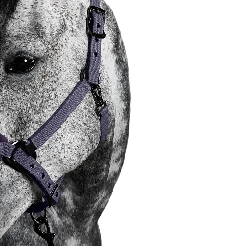 Aztec Diamond Panel Headcollar - Amethyst-5