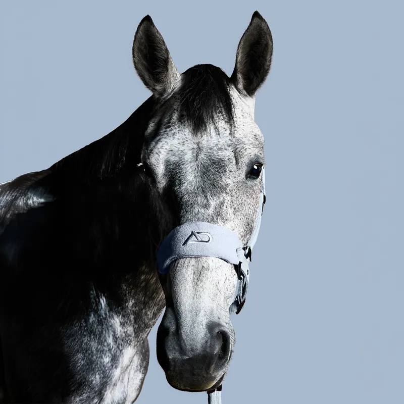 Aztec Diamond Panel Headcollar - Ash Blue-7