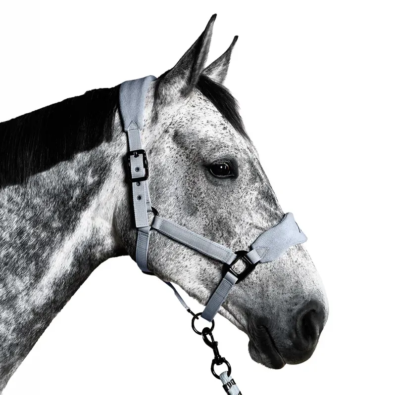 Aztec Diamond Panel Headcollar - Ash Blue
