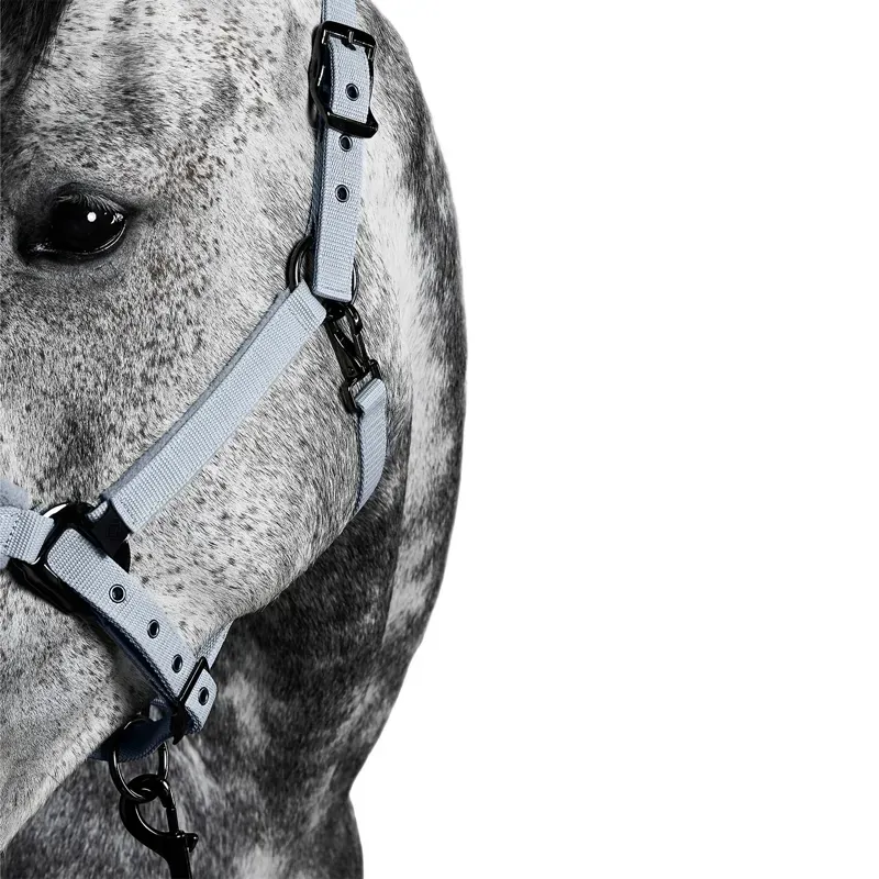 Aztec Diamond Panel Headcollar - Ash Blue-3