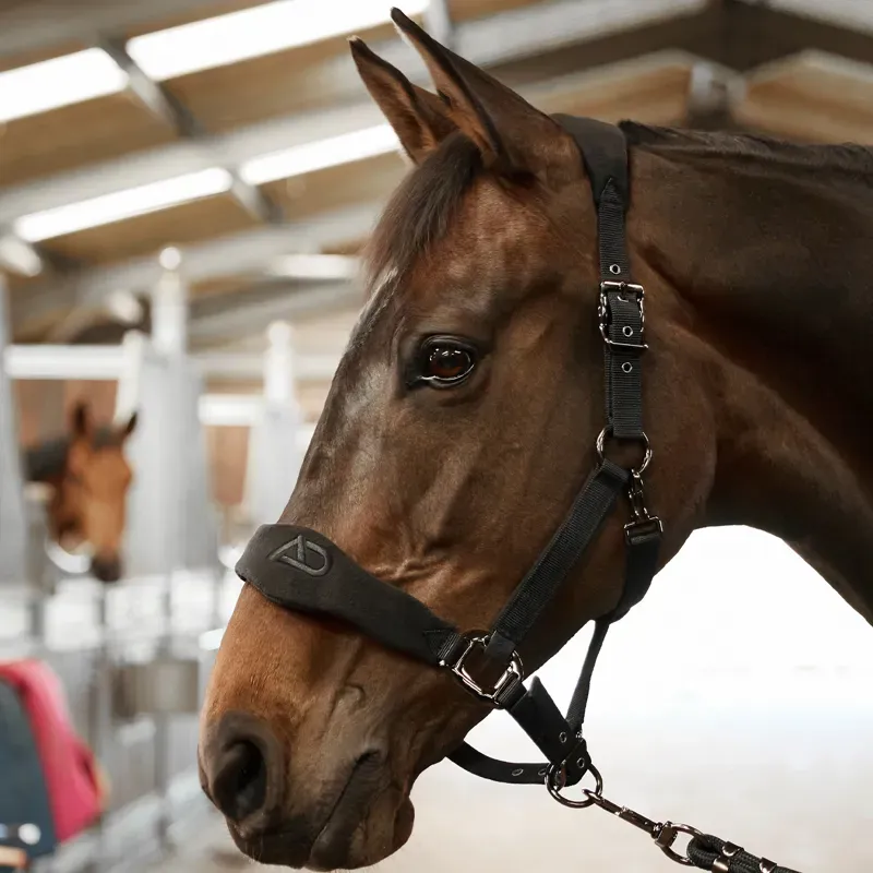 Aztec Diamond Panel Headcollar - Black-1
