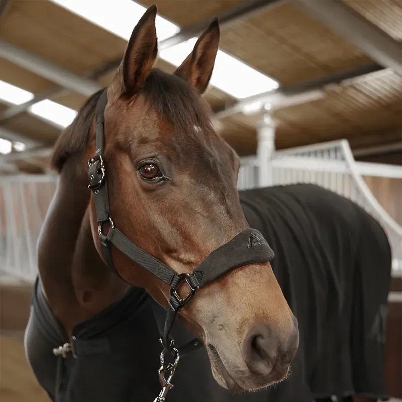 Aztec Diamond Panel Headcollar - Black-2