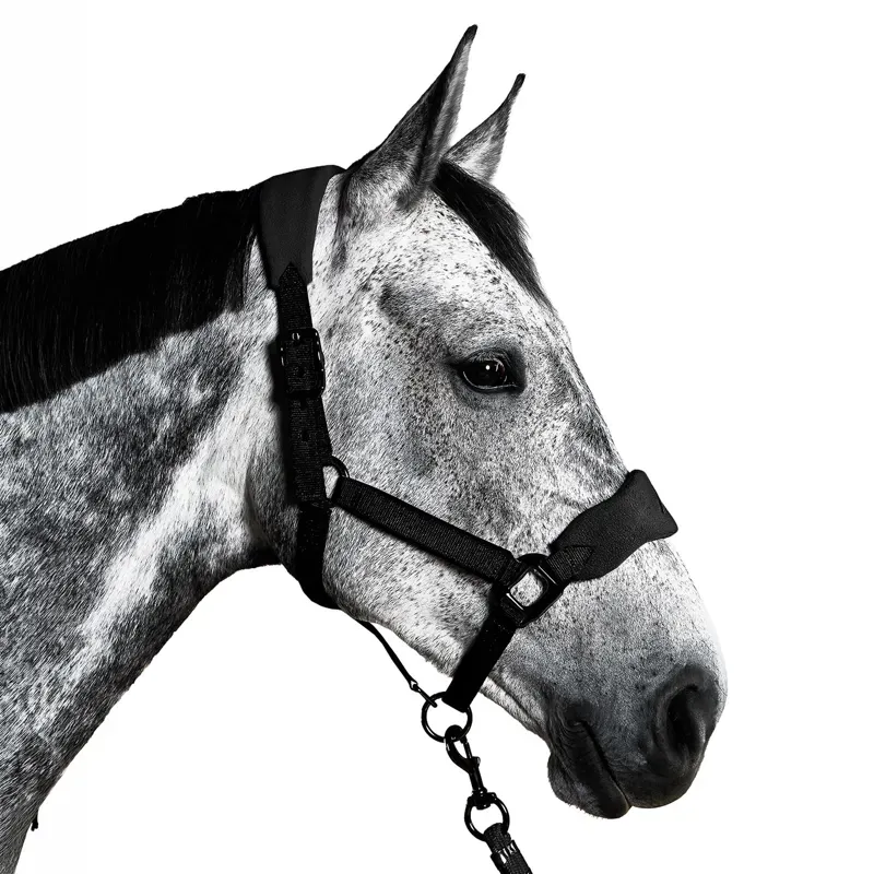 Aztec Diamond Panel Headcollar - Black