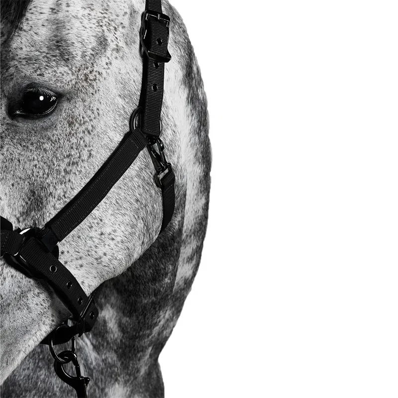 Aztec Diamond Panel Headcollar - Black-7