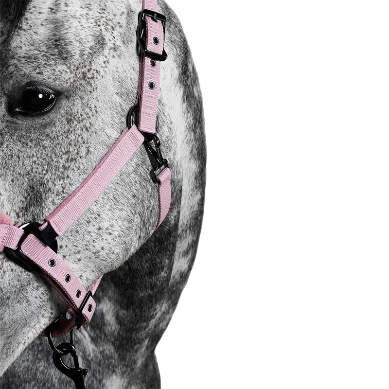 Aztec Diamond Panel Headcollar - Pink-5