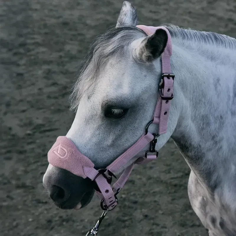 Aztec Diamond Panel Headcollar - Pink