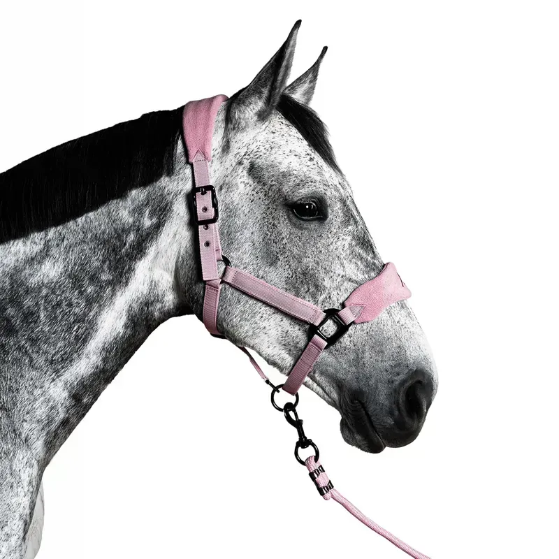 Aztec Diamond Panel Headcollar - Pink-1