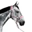 Aztec Diamond Panel Headcollar - Pink