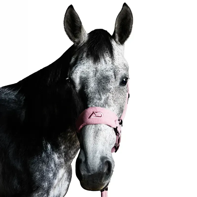 Aztec Diamond Panel Headcollar - Pink-2