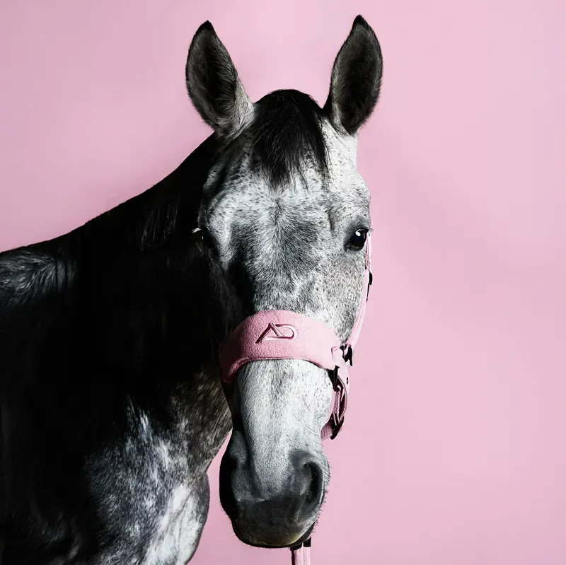 Aztec Diamond Panel Headcollar - Pink-6