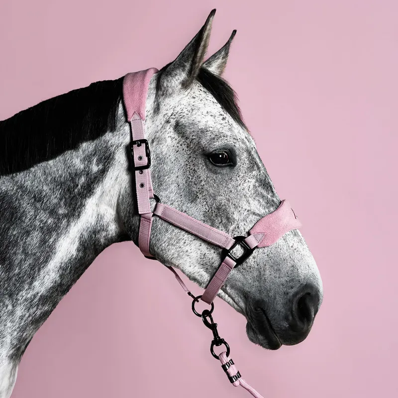 Aztec Diamond Panel Headcollar - Pink-7