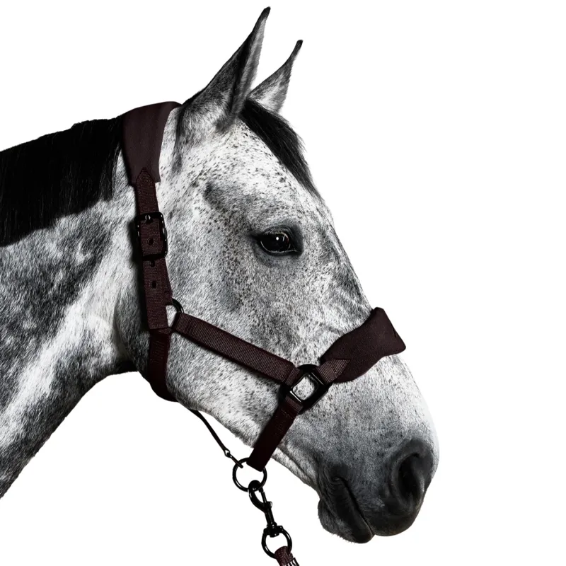 Aztec Diamond Panel Headcollar - Espresso