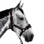 Aztec Diamond Panel Headcollar - Espresso